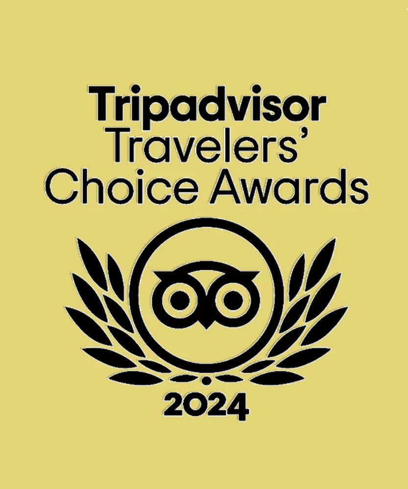 2023 Tripadvisor Travelers' Choice award
