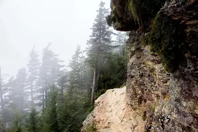 alum cave trail