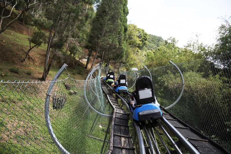 mountain coaster in gatlinburg