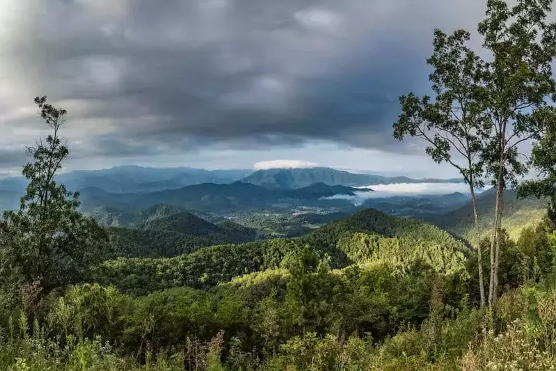 foothills parkway view