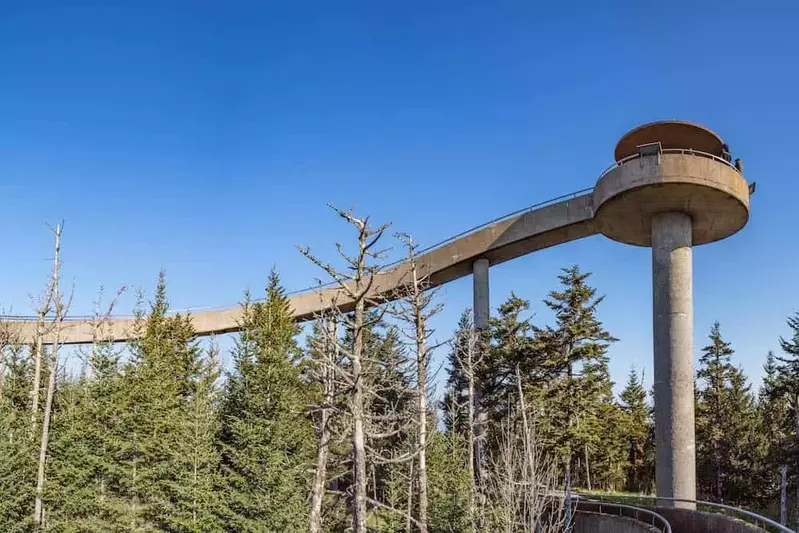 clingmans dome