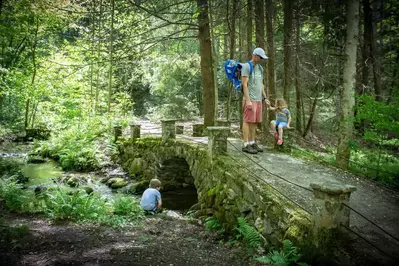 little river trail in the great smoky mountains