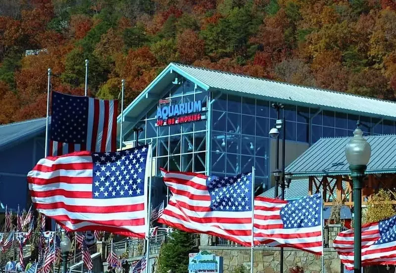 Veterans Day at Ripley's Aquarium of The Smokies in Gatlinburg TN