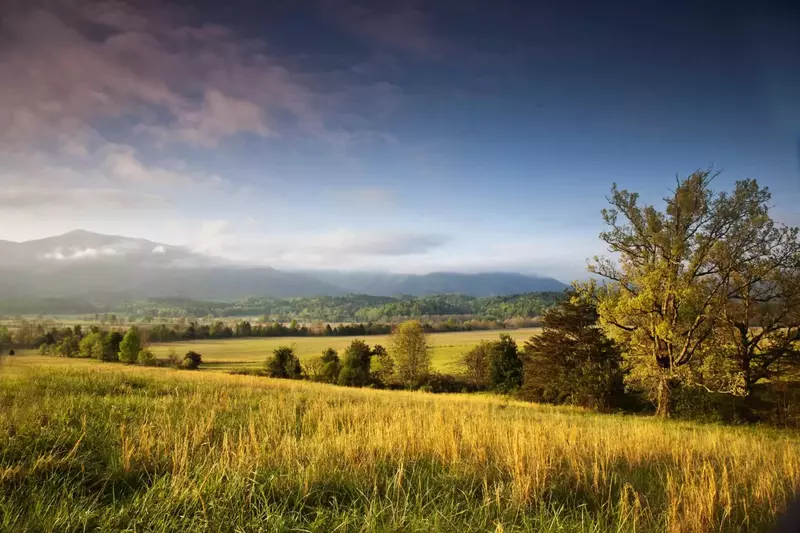 Golden sunlight covers the fields in Cades Cove