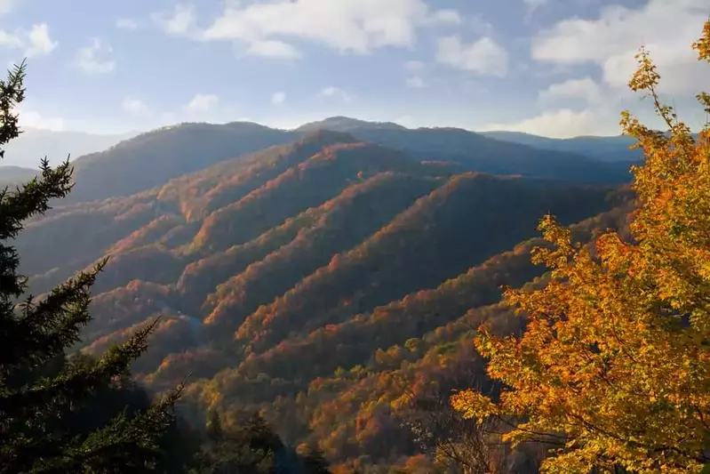 beautiful fall colors in the mountains near Gatlinburg Tenn