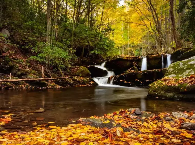 Fall leaves at a waterfall near Gatlinburg