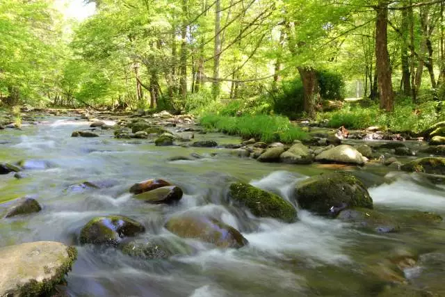 water rushing in mountain stream near Gatlinburg TN