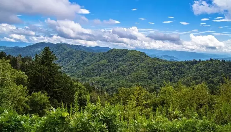 Beautiful photo of the Smoky Mountains in Spring