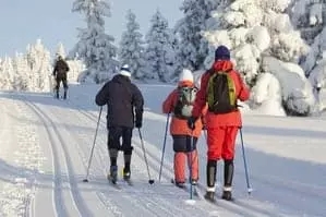 Cross-Country Skiing