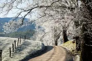 Exploring Cades Cove