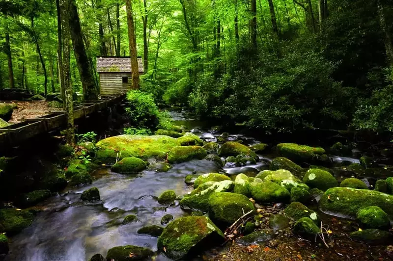 old mill along the Roaring Fork Motor Nature Trail