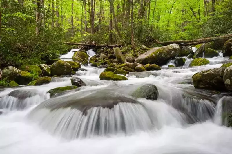 Cascades along the Roaring Fork Motor Nature Trail