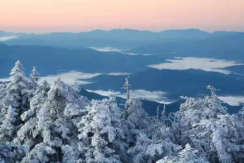 Snow covered trees overlooking the Smoky Mountains