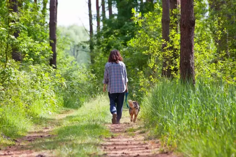 Woman walking dog on trail in Smoky Mountains