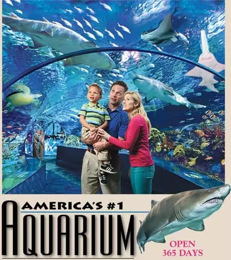 America's #1 Aquarium Open 365 Days
