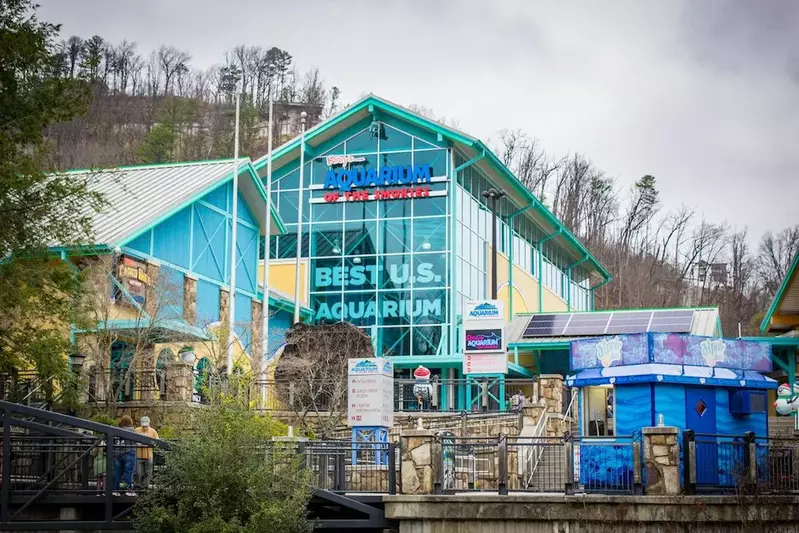 Ripley's Aquarium in Gatlinburg TN