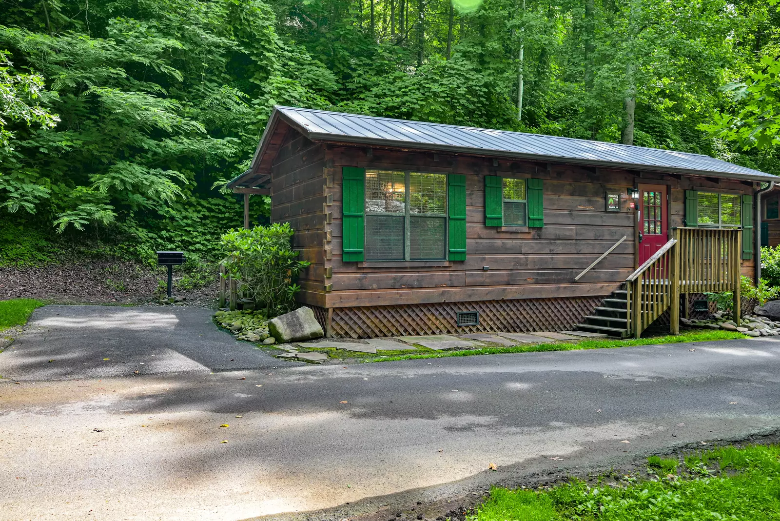 15- Hickory Tree