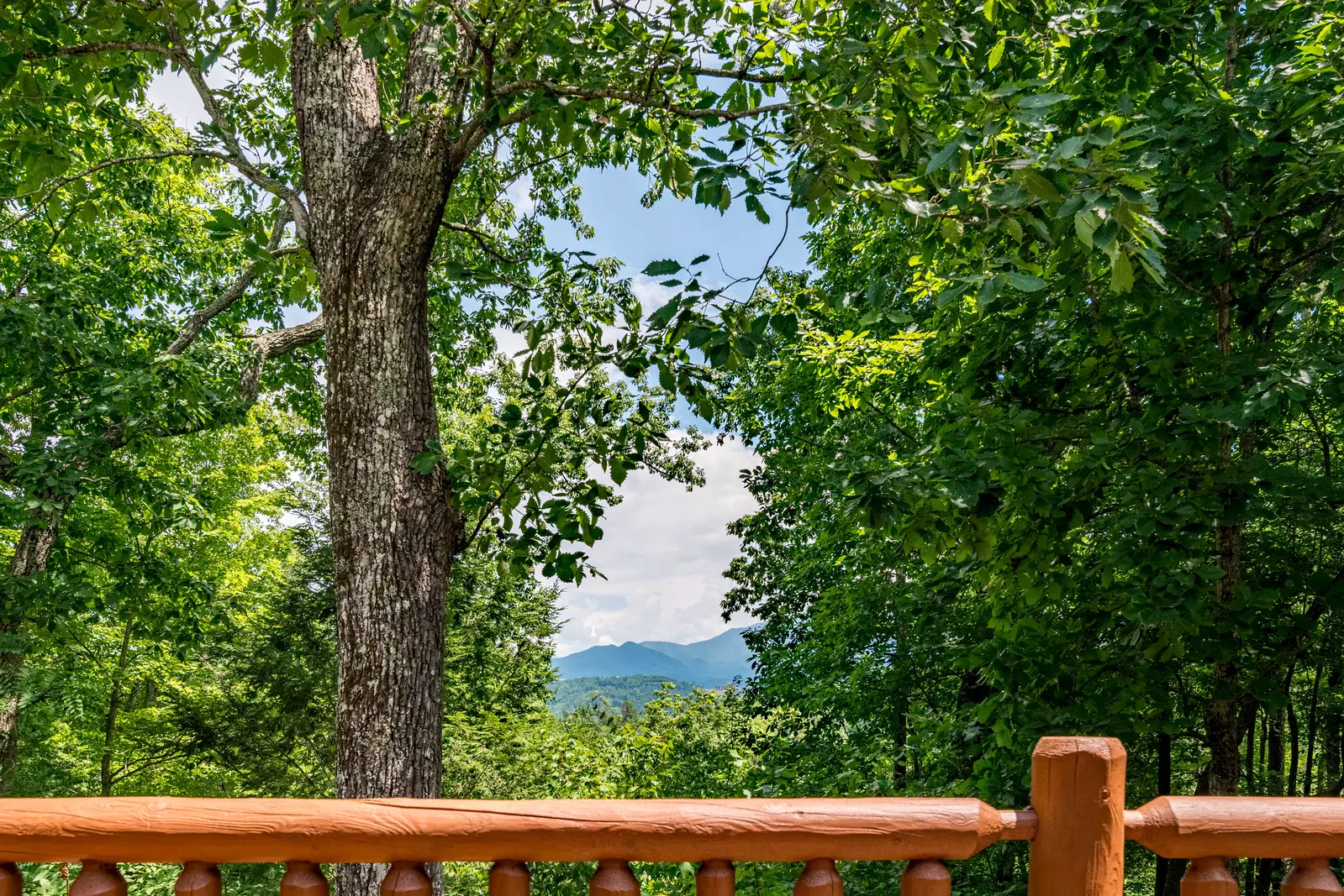 Mtn. Vista