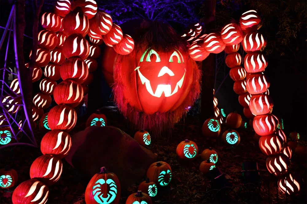 pumpkin spider structure at Dollywood's Harvest Festival