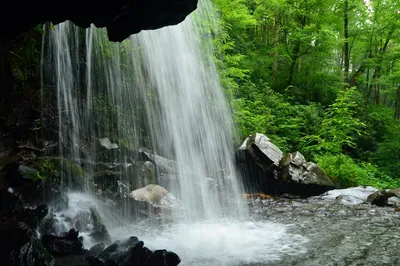 Grotto Falls is one of the best waterfalls near Gatlinburg