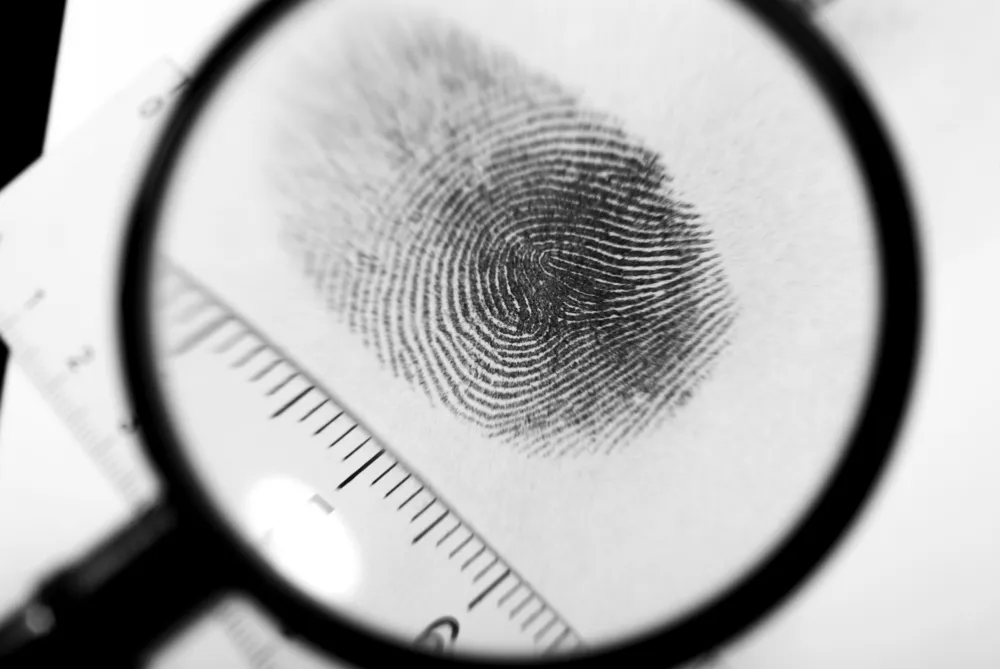fingerprint in forensics investigation