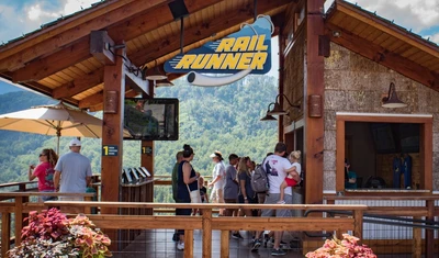 Rail Runner Mountain Coaster at Anakeesta
