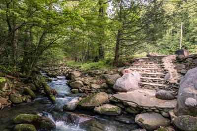 Little Bear Creek