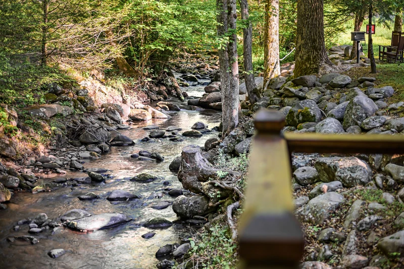 Little Bear Creek