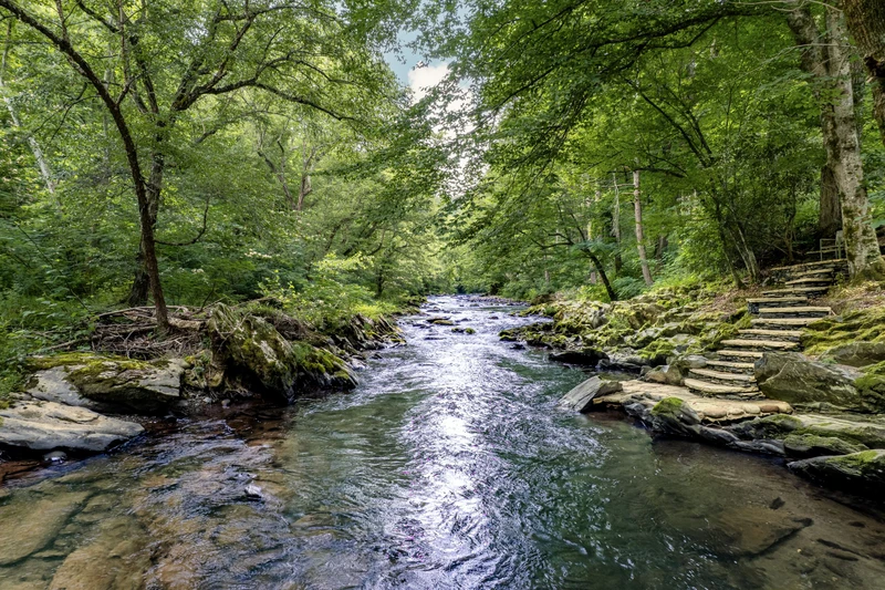 Little Pigeon River House