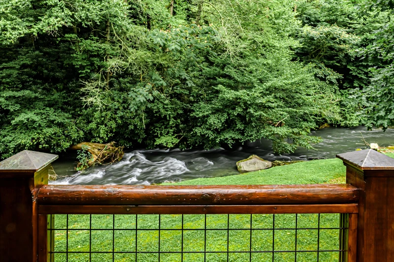 Cozy Creek