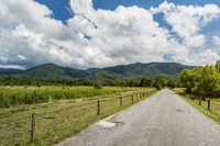 driving Cades Cove Loop is one of the best free things to do in Gatlinburg