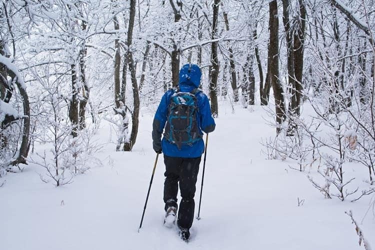 Hiker walking through snowy woods