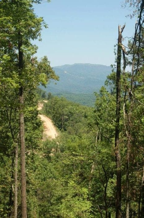 view of a dirt road through the Smoky Mountains