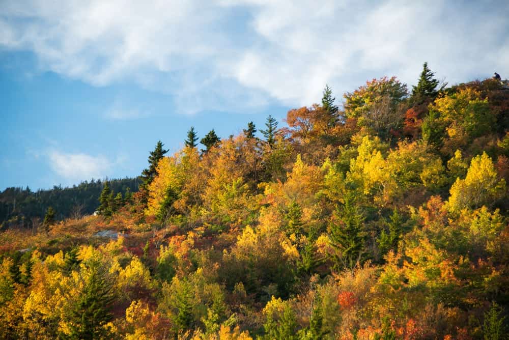 Beautiful fall colors in the Great Smoky Mountains