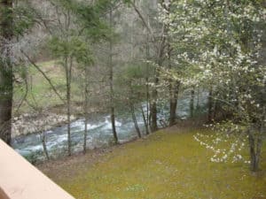 little pigeon river house river view
