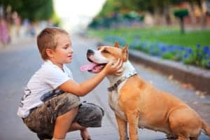 Boy petting happy dog in the spring
