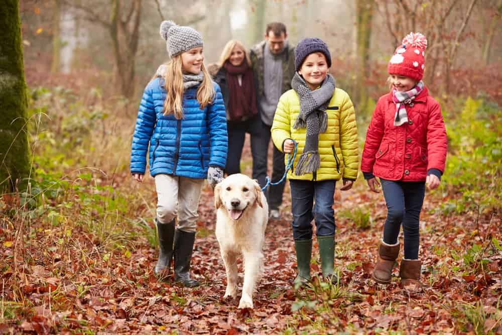 happy family walking dog in woods near Gatlinburg TN