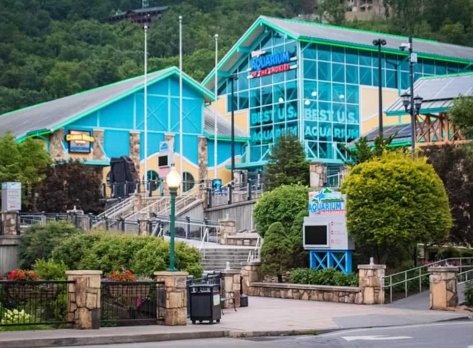 The Top 5 Downtown Gatlinburg Attractions