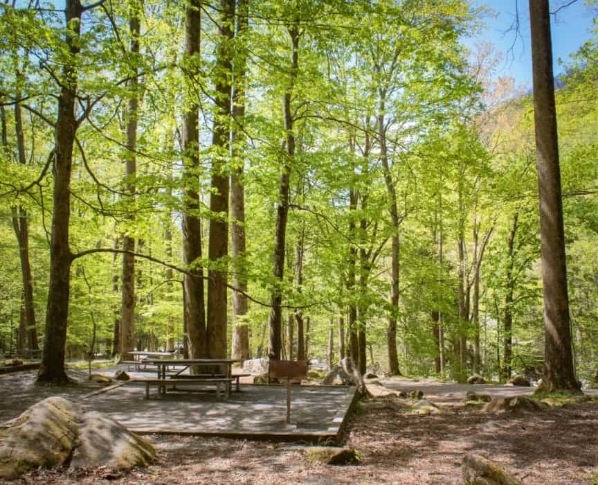 Top 6 Picnic Areas in the Great Smoky Mountains