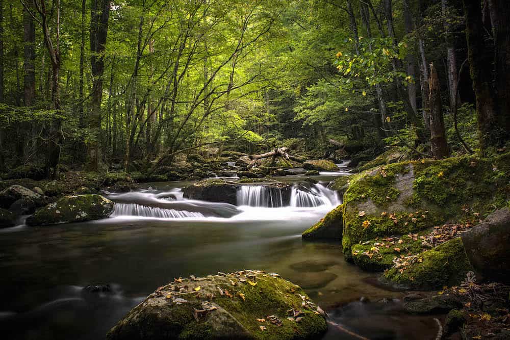 Top 5 Places to Go Fishing in the Smoky Mountains