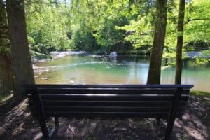 bench by river
