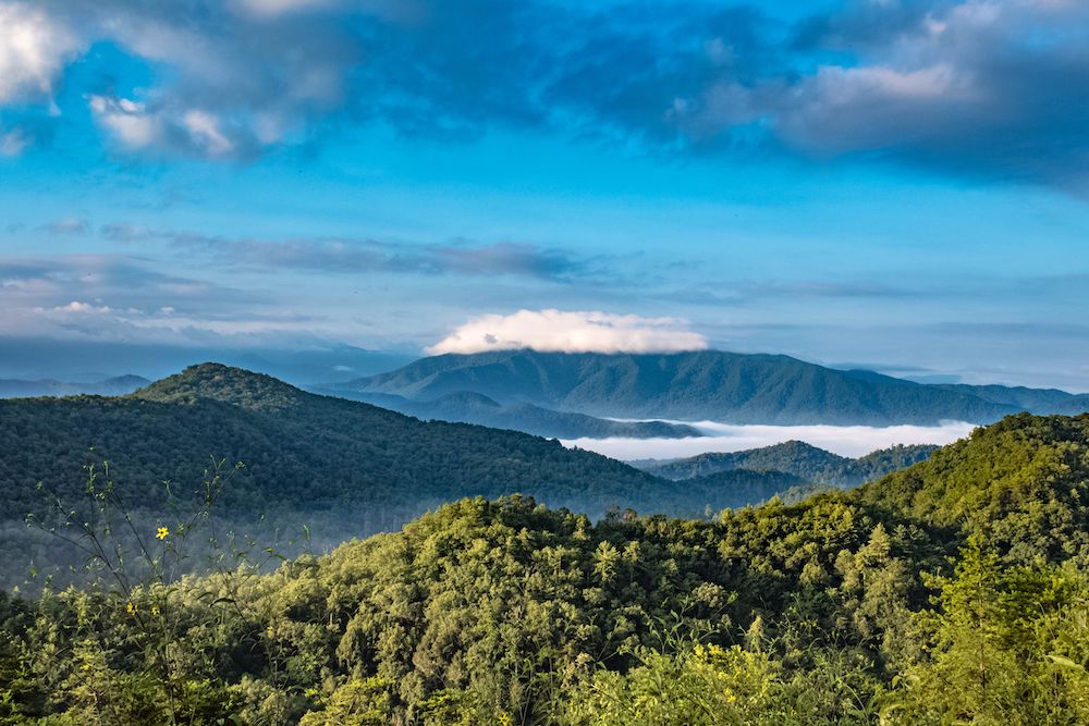 5 Things You Should Pack When You Go Hiking in the Great Smoky Mountains