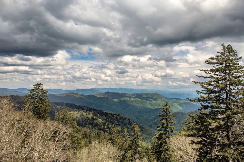 View from Clingmans Dome in the Smoky Mountains