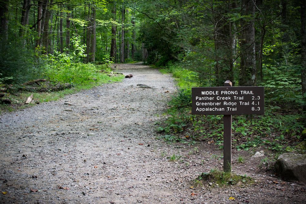 middle prong trail in the great smoky mountains national park