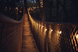 Anakeesta Treetop Skywalk at night