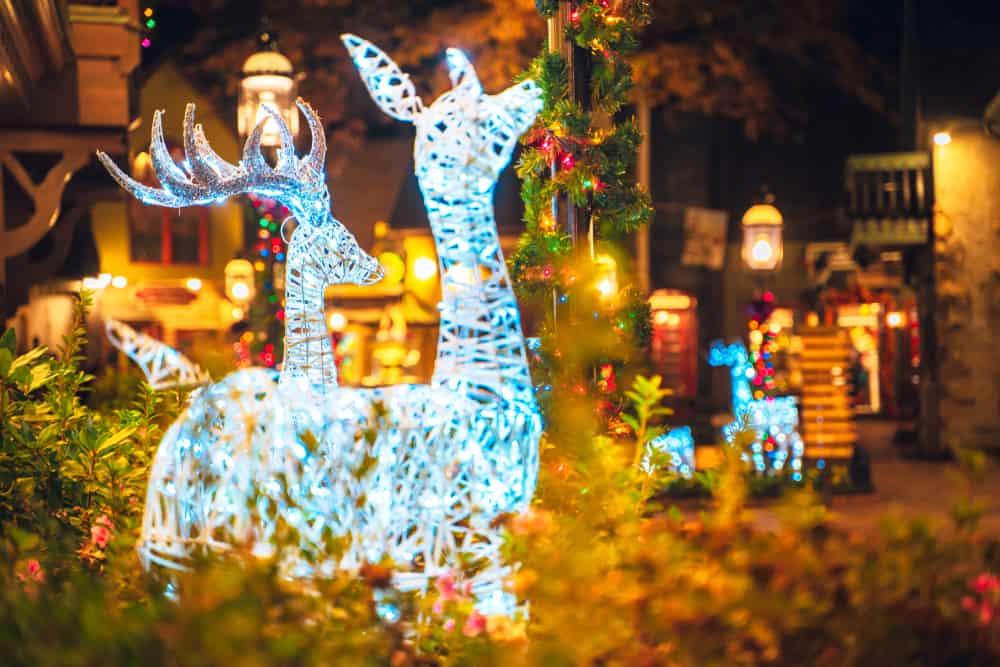 Christmas light display in Gatlinburg, TN
